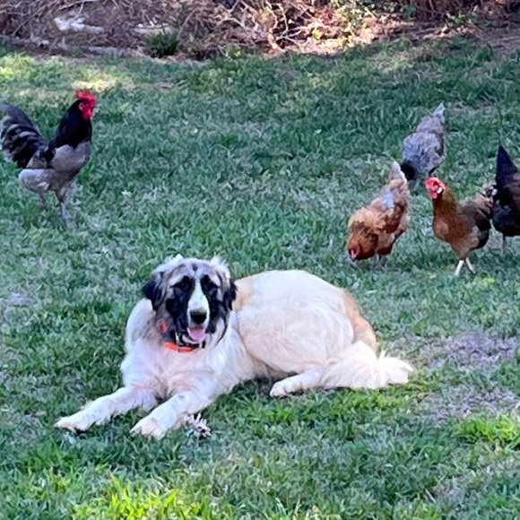 Meet your Posher, Mariann - Picture 3 of 4